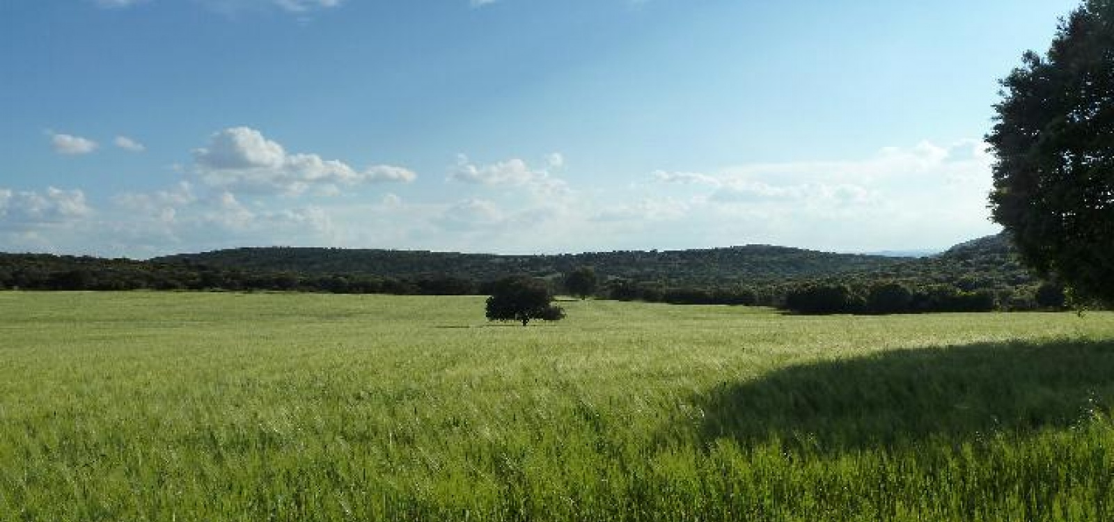 Ciudad real,Espagne,Villa,1011 Ciudad real,Espagne,Villa,1011