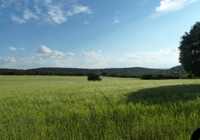 Ciudad real,Espagne,Villa,1011 Ciudad real,Espagne,Villa,1011