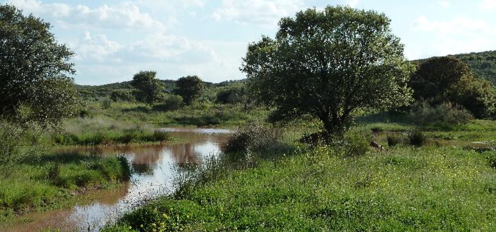 Ciudad real,Espagne,Villa,1011 Ciudad real,Espagne,Villa,1011