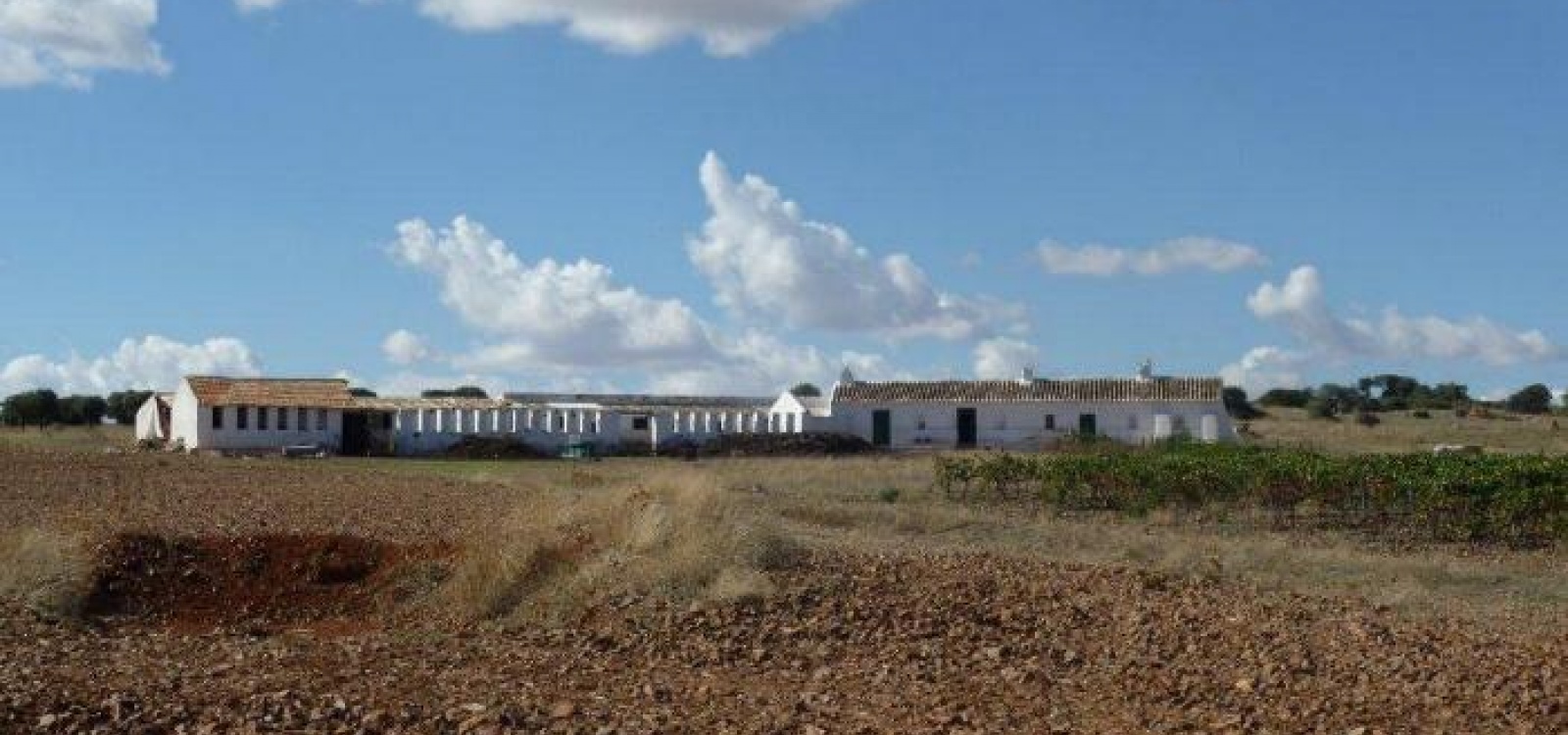 Ciudad real,Espagne,Villa,1011 Ciudad real,Espagne,Villa,1011