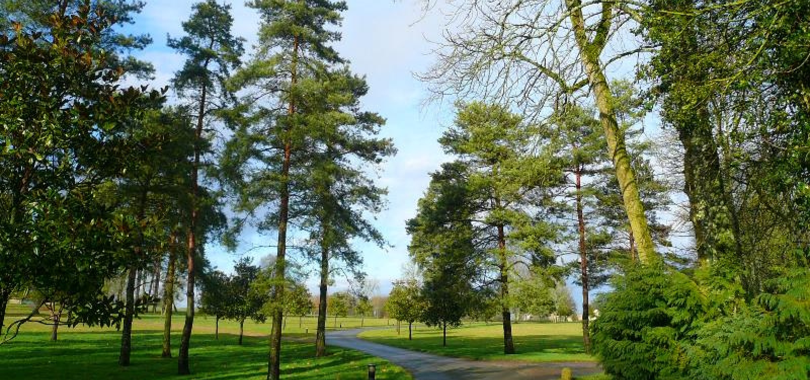 Bourges, Cher, France, ,Chateau,A vendre,1015 Bourges, Cher, France, ,Chateau,A vendre,1015