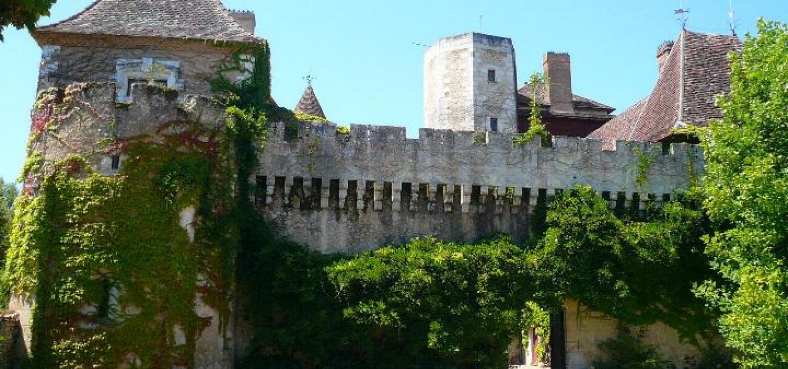 Périgueux, Dordogne, France, ,Chateau,A vendre,1016 Périgueux, Dordogne, France, ,Chateau,A vendre,1016