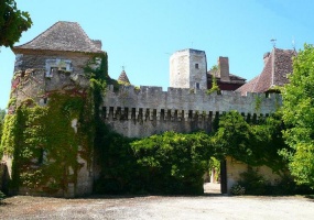 Périgueux, Dordogne, France, ,Chateau,A vendre,1016