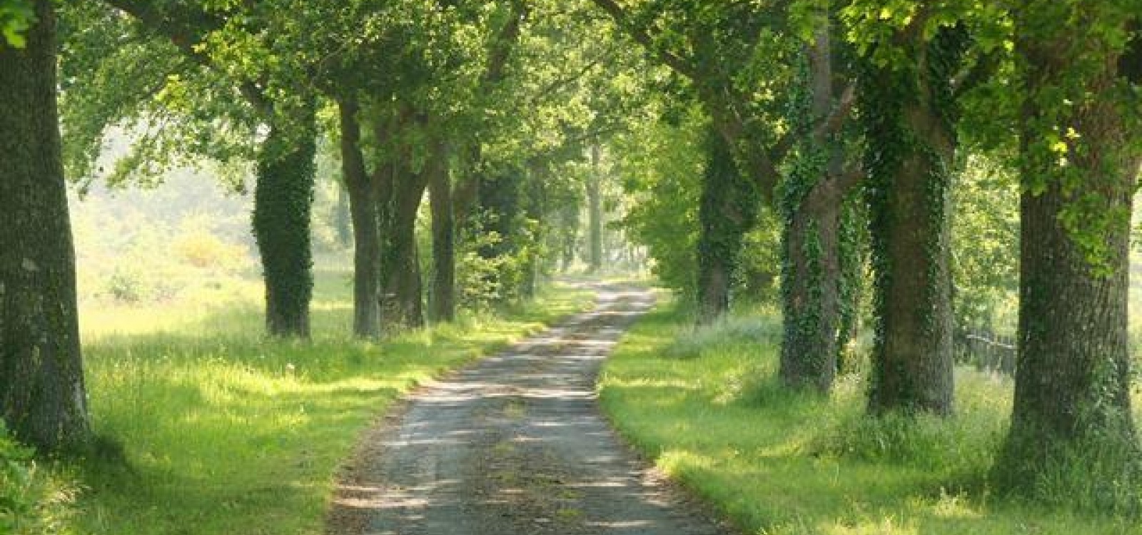 Angers, Maine et Loire, France, ,Chateau,A vendre,1031