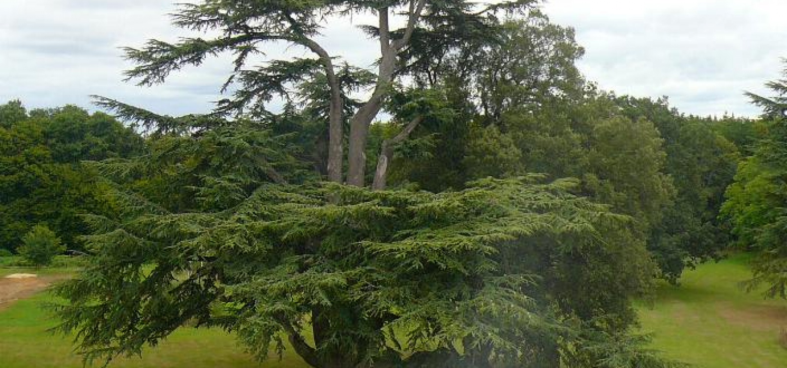 Angers, Maine et Loire, France, ,Chateau,A vendre,1031