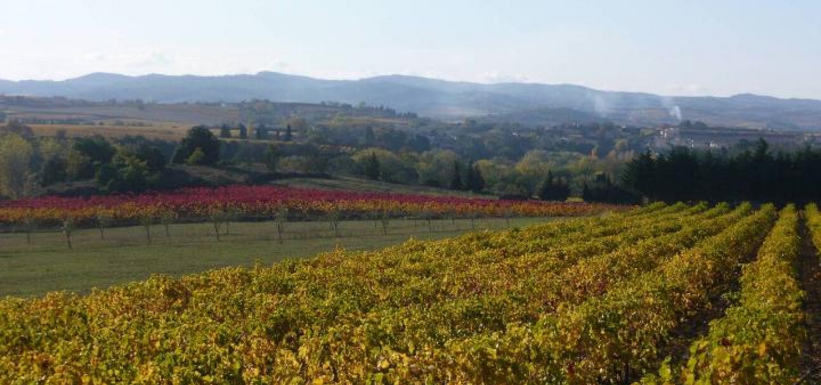 Carcassonne,Aude,France,1 chambre Rooms,1 la Salle de bainBathrooms,Villa,1003 Carcassonne,Aude,France,1 chambre Rooms,1 la Salle de bainBathrooms,Villa,1003