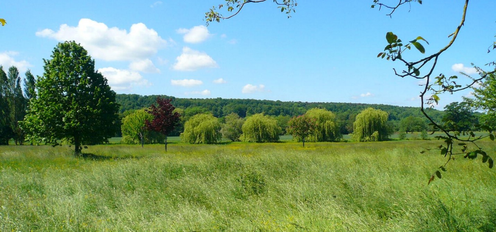 Montfort sur Risle, Eure, France, ,Villa,A vendre,1043 Montfort sur Risle, Eure, France, ,Villa,A vendre,1043