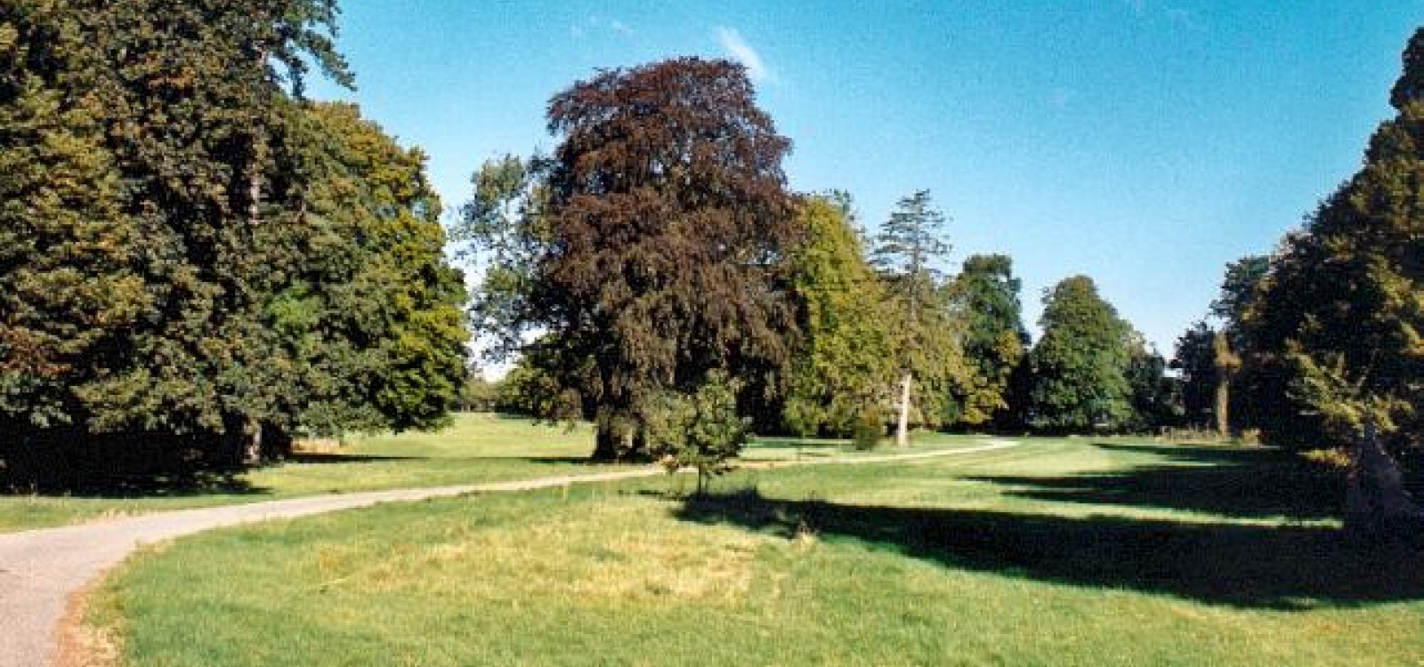 Rouen,Seine-Maritime,France,Château,1050